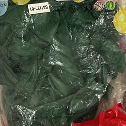 Paquete de globo verde oscuro