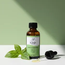 Aceite de Albahaca 