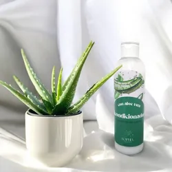 Acondicionador de Aloe Vera 