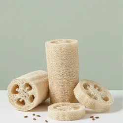 Esponja Vegetal (Luffa)