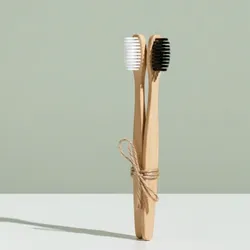 Cepillo de Dientes Biodegradable de Bambú (dúo)
