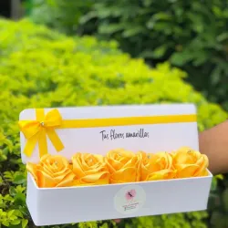 Caja de 5 rosas eternas