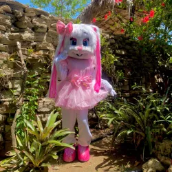 Conejita 