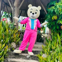 Oso rosado