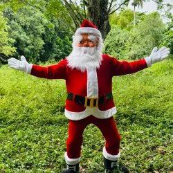 Papa Noel