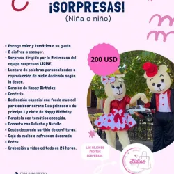 Sorpresa ⭐⭐⭐ (Niño o Niña)