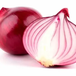 Cebolla
