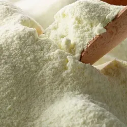 Leche en polvo