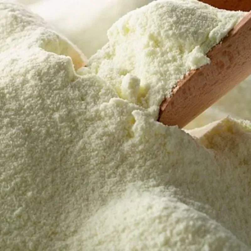 Leche en polvo