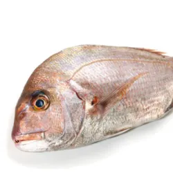 Pargo