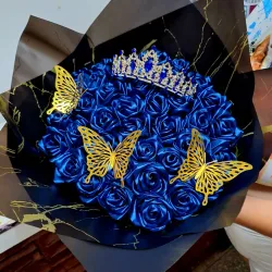 👑  💙 Princesa de Seda 