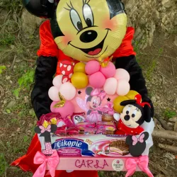 Disney Dream