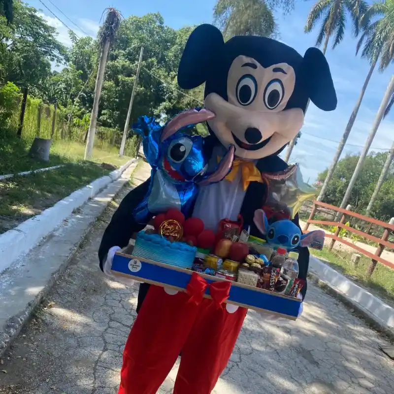 Mickey Mouse 