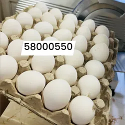 Filis de huevos