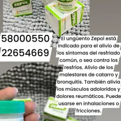 Zepol