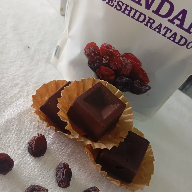 Bombones rellenos de arándanos deshidratados 