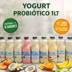 Yogurt Probiótico 1LT