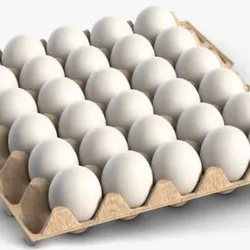 Cartón de huevos blancos