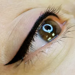 Micropigmentación de Eyeliner (Delineado)