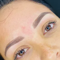 Técnica Powder Brows