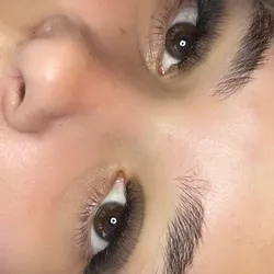 4d volumen tecnológico 