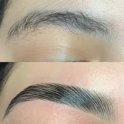 Laminado de cejas