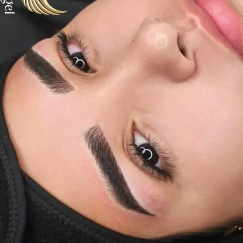 Micropigmentaciòn con técnicas combinadas.