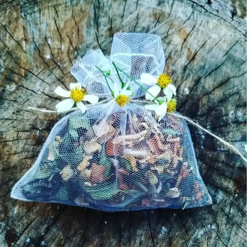 Bolsas Aromáticas 🌸