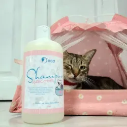 Shampoo para mascotas 🐕🐱