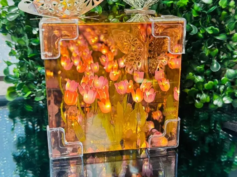 Acesorios para escojer 