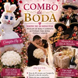 Combo de boda con la.coneja ely