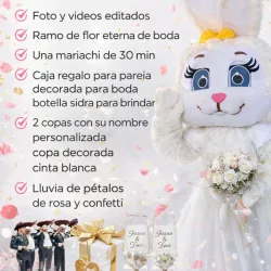 Combo de boda con la.coneja ely