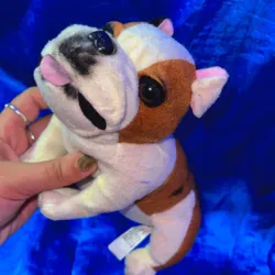 Peluches 
