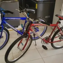 Bicicleta #26