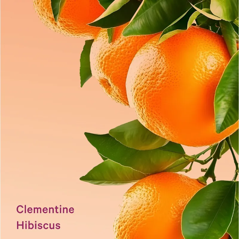 CLEMENTINE HIBISCUS feel energized