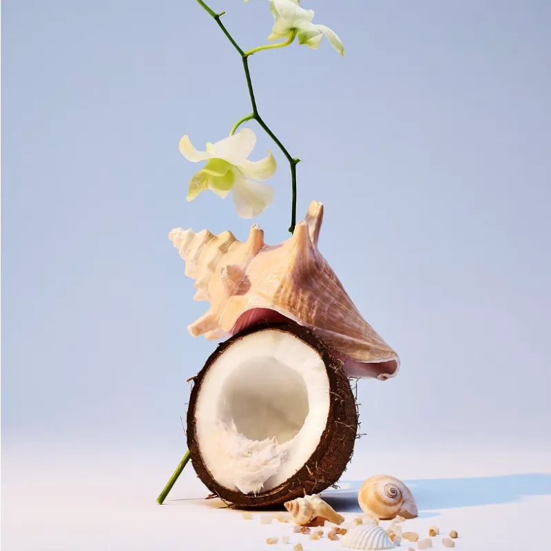 Coco Sands 🥥 🌴 