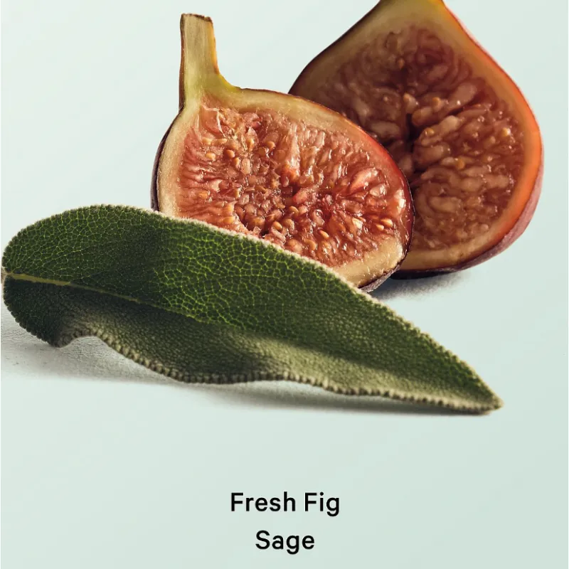 FRESH FIG SAGE feel serene