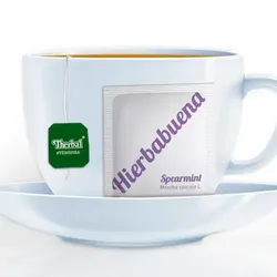 Té de hierbabuena