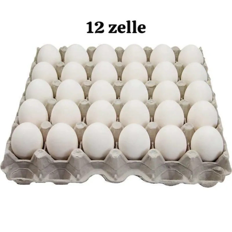 FILI DE HUEVO BLANCOS 