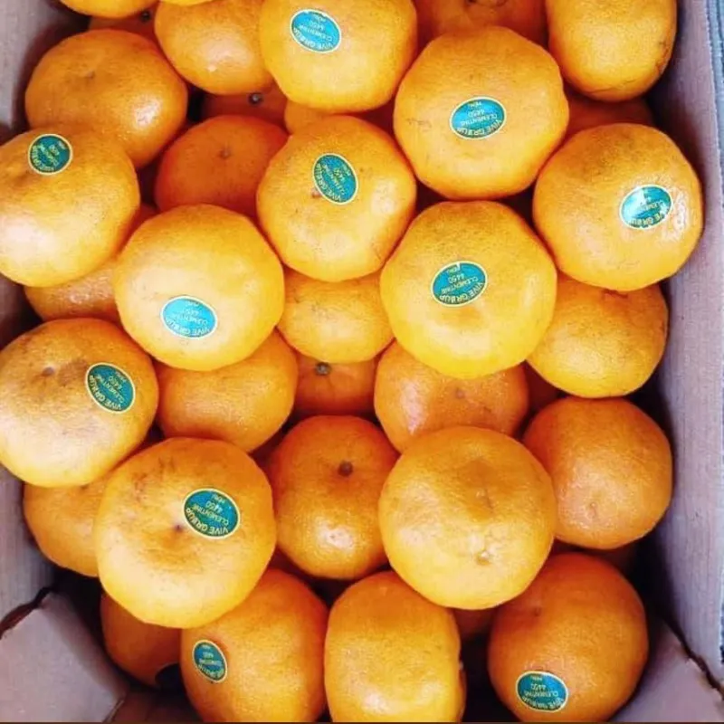 MANDARINAS IMPORTACIÓN 