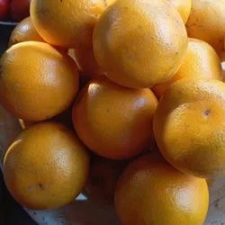NARANJAS DE IMPORTACIÓN 