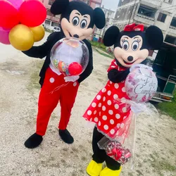 Mickey y Minnie ❤️❣️