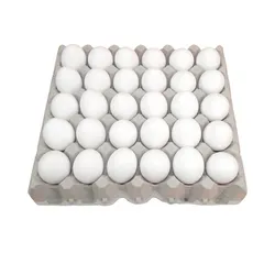 Huevos