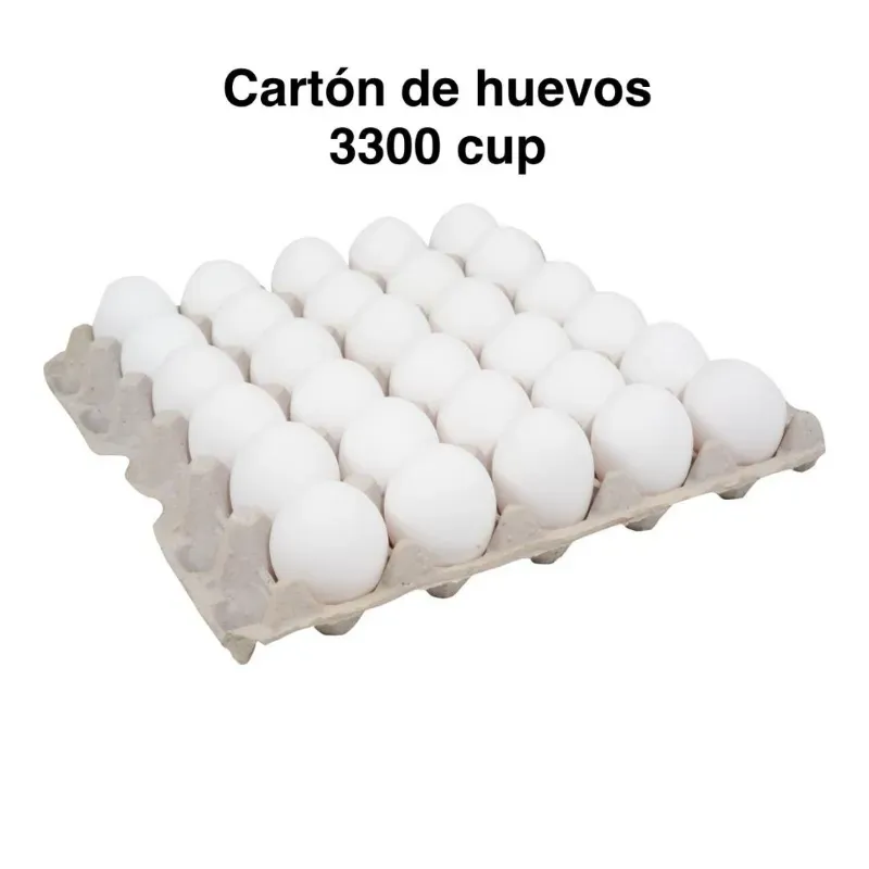 Cartón de huevos