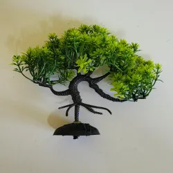 Bonsai para acuario