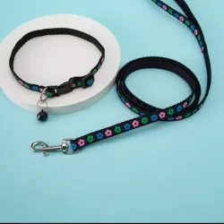 Collar con correa