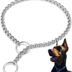 Collar de Obediencia talla XXL