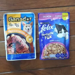 Salmón para gato