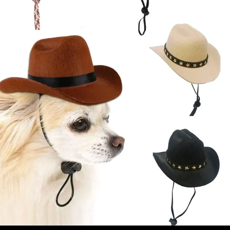 Sombrero para perros