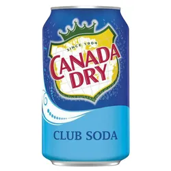 Canada Dry Agua gaseada 355ml